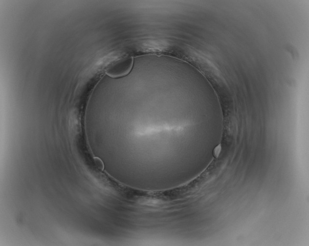 X0000115660743200911121213