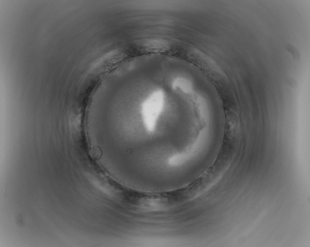 X0000115660745200911121213