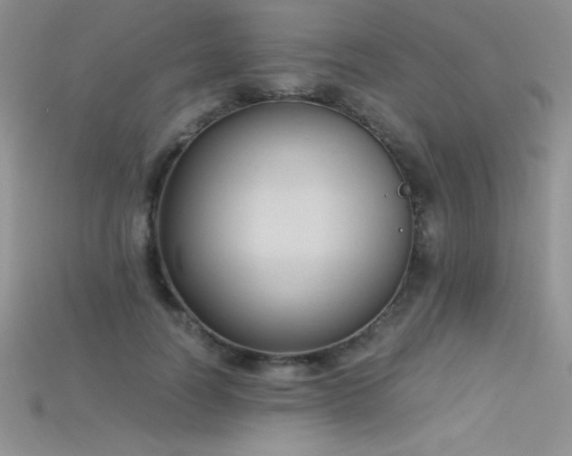 X0000115660746200911121213