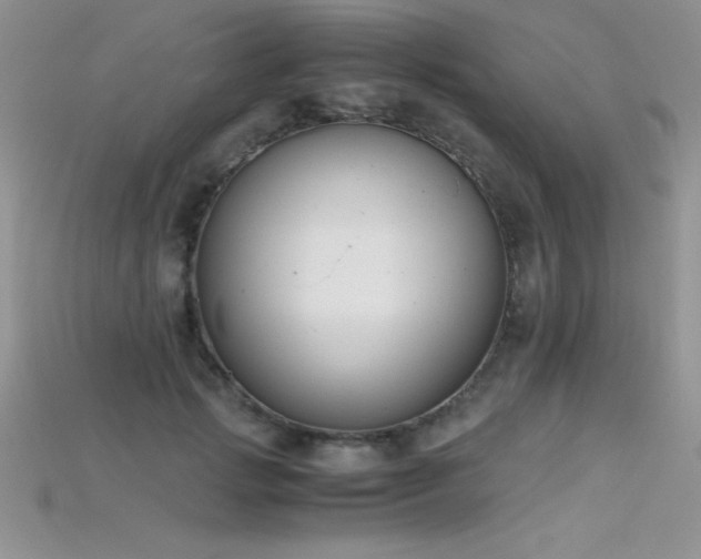 X0000115660749200911121213