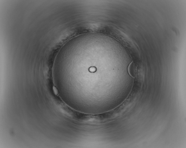X0000115660750200911121213