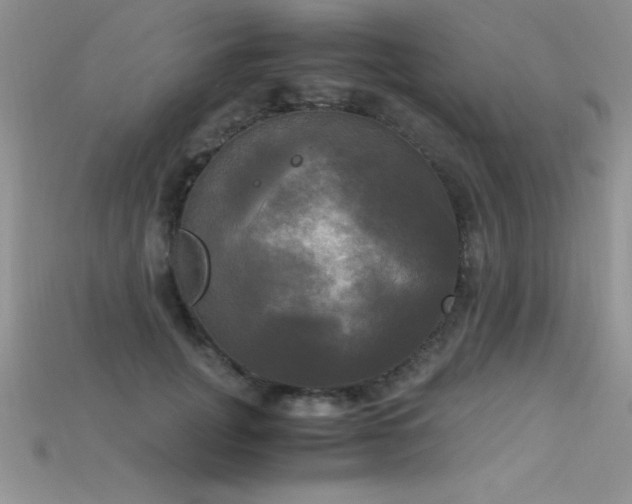 X0000115660751200911121213