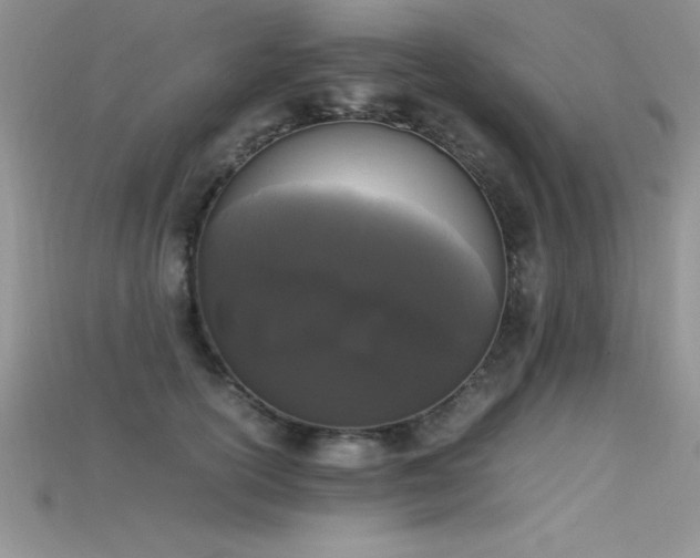 X0000115660754200911121213