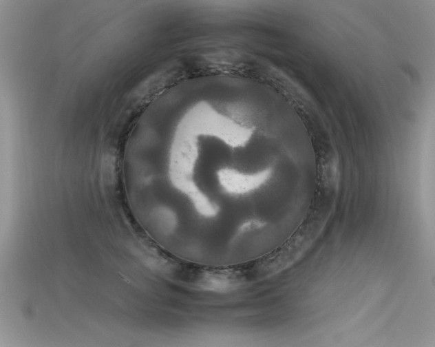 X0000115660757200911121213