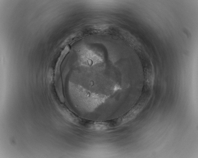 X0000115660758200911121213