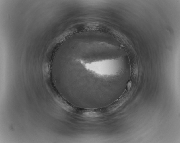 X0000115660759200911121213