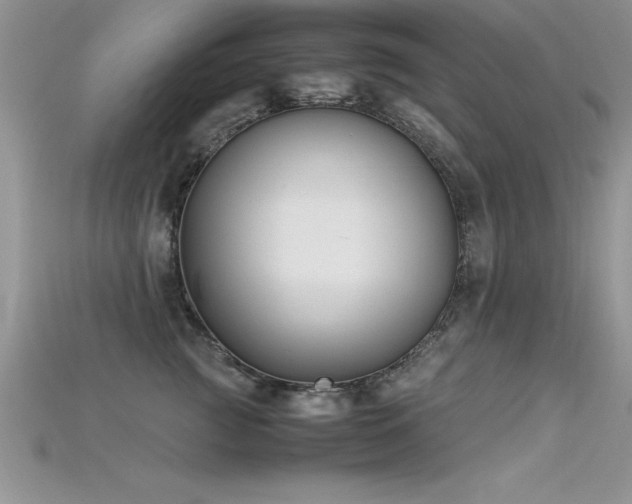 X0000115660761200911121213