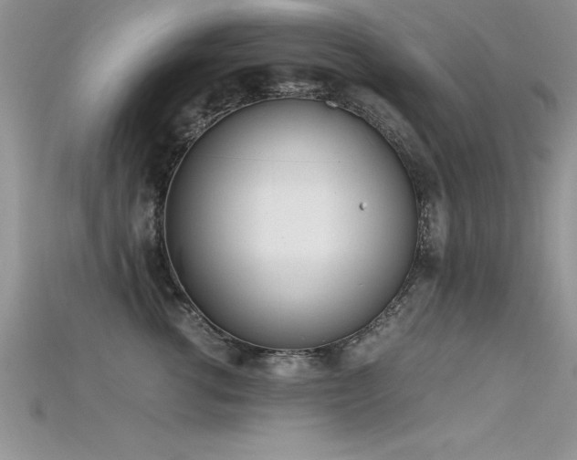 X0000115660762200911121213