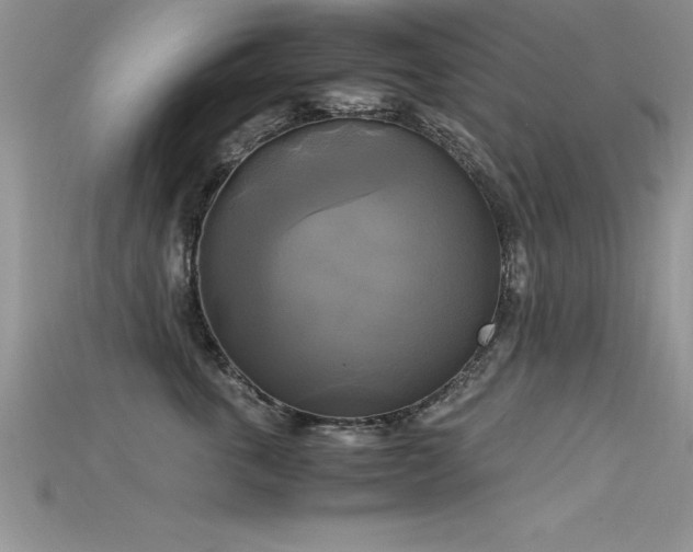 X0000115660763200911121213