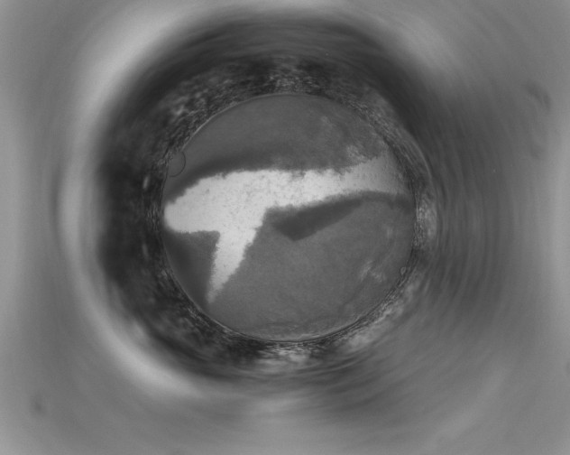 X0000115660765200911121214