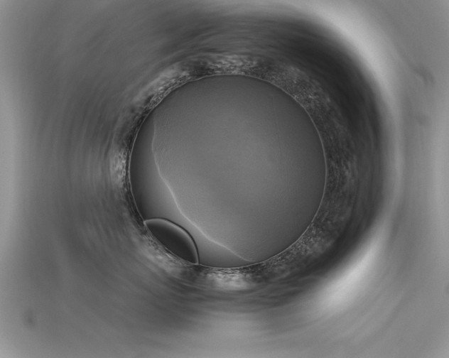 X0000115660767200911121214