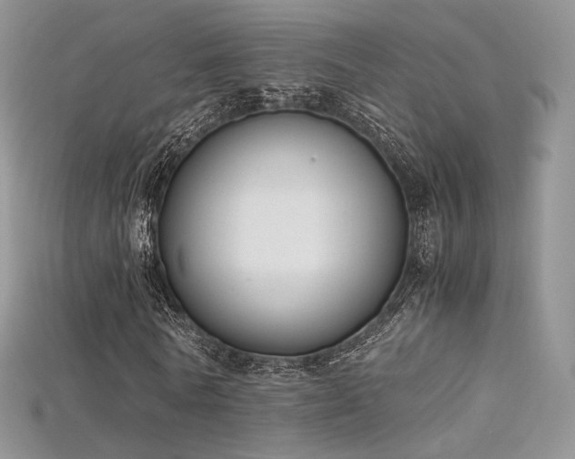 X0000115660770200911121213