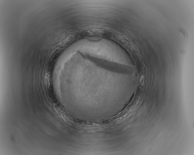 X0000115660772200911121213