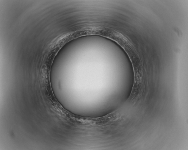 X0000115660773200911121213