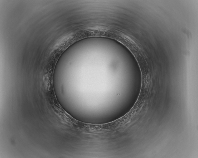 X0000115660774200911121213