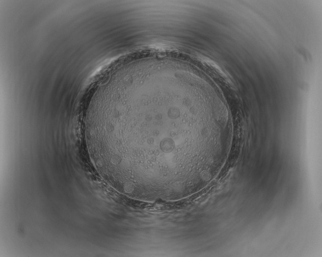 X0000115660776200911121213