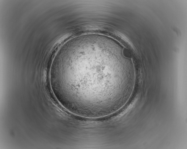 X0000115660777200911121213
