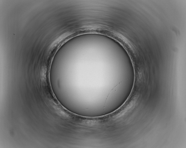 X0000115660778200911121213