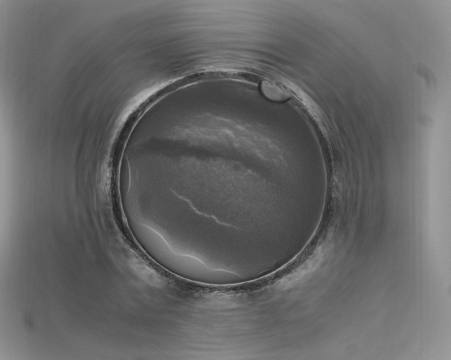 X0000115660779200911121213