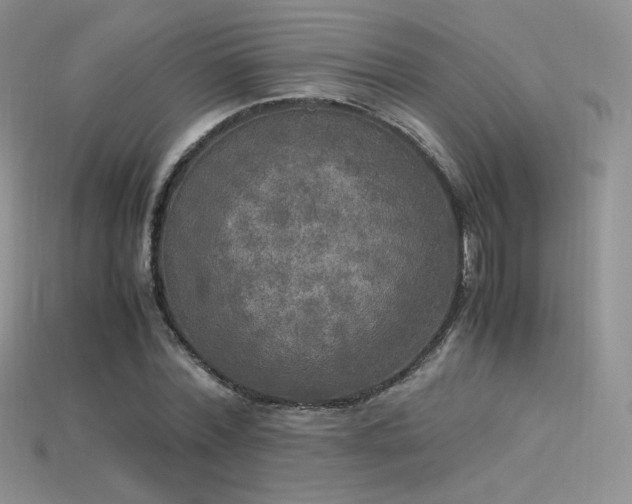 X0000115660780200911121213
