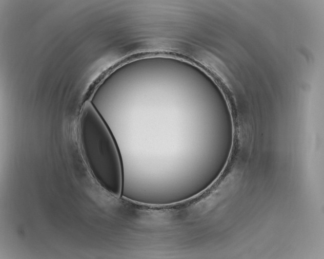 X0000115660781200911121213