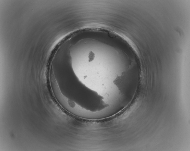 X0000115660783200911121213