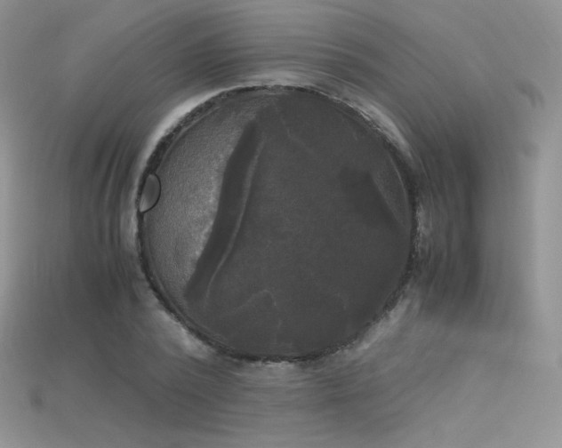 X0000115660784200911121213