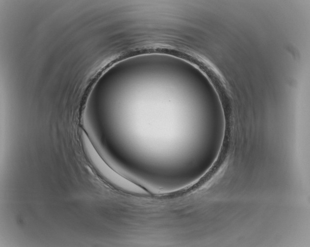 X0000115660785200911121213