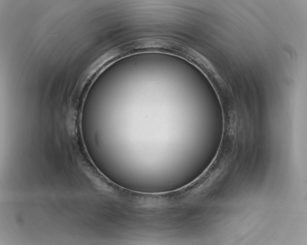 X0000115660786200911121213