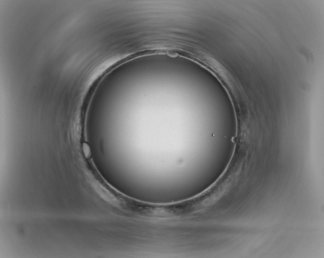 X0000115660787200911121213