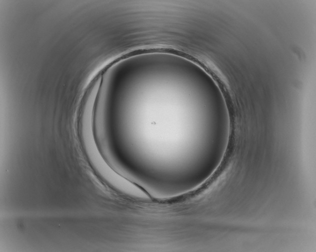 X0000115660789200911121213