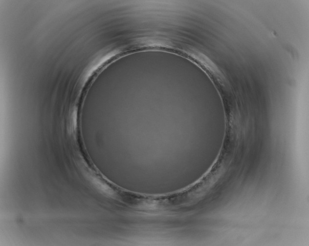 X0000115660790200911121213