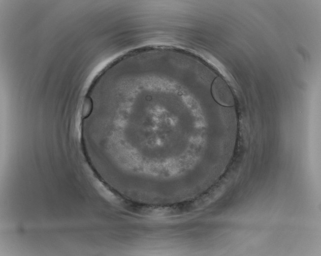 X0000115660791200911121213