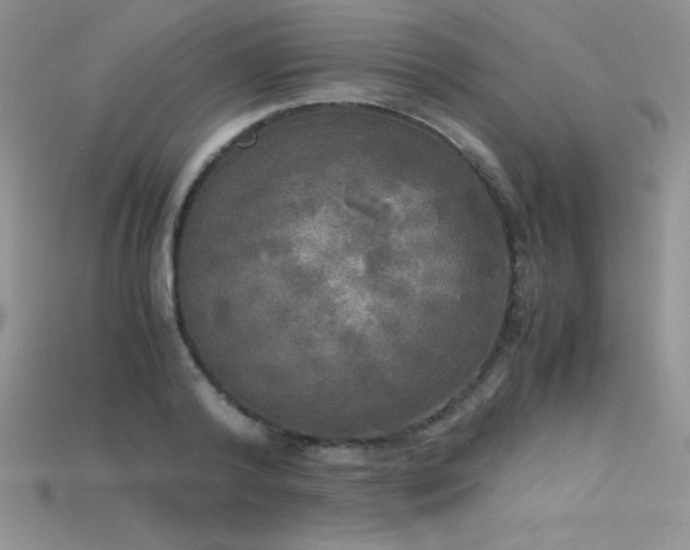 X0000115660792200911121213
