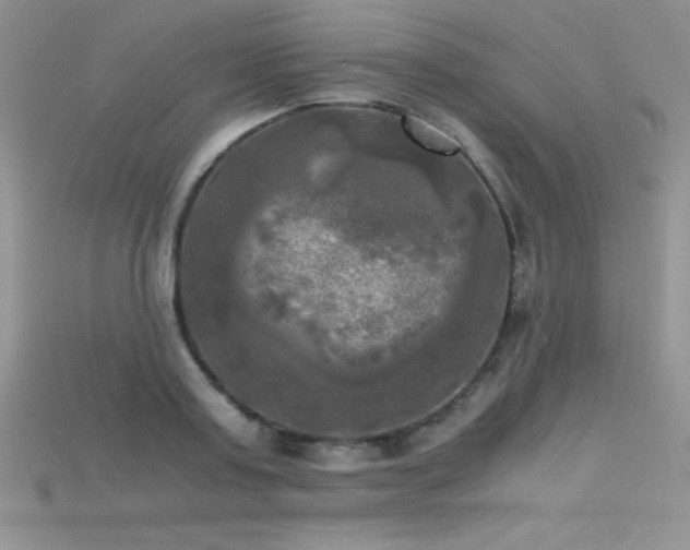 X0000115660795200911121213