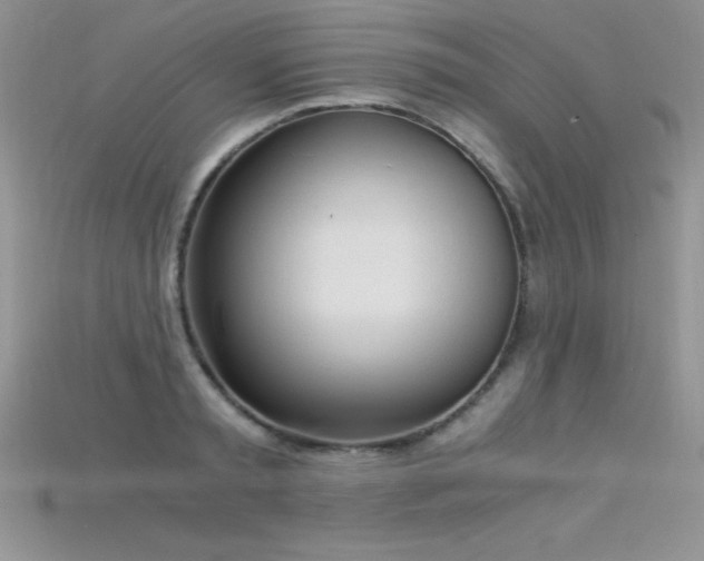 X0000115660797200911121213