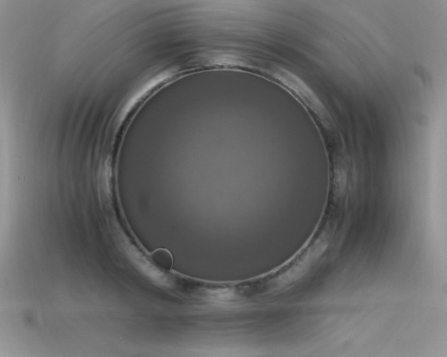 X0000115660798200911121213