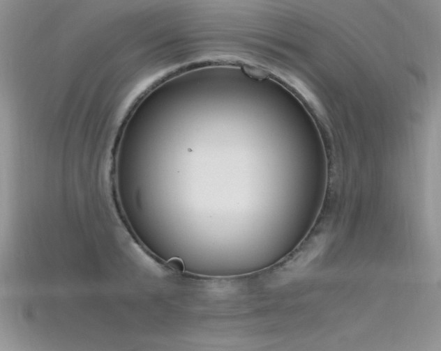 X0000115660799200911121213