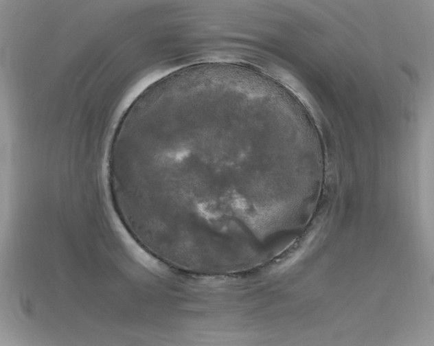 X0000115660803200911121212