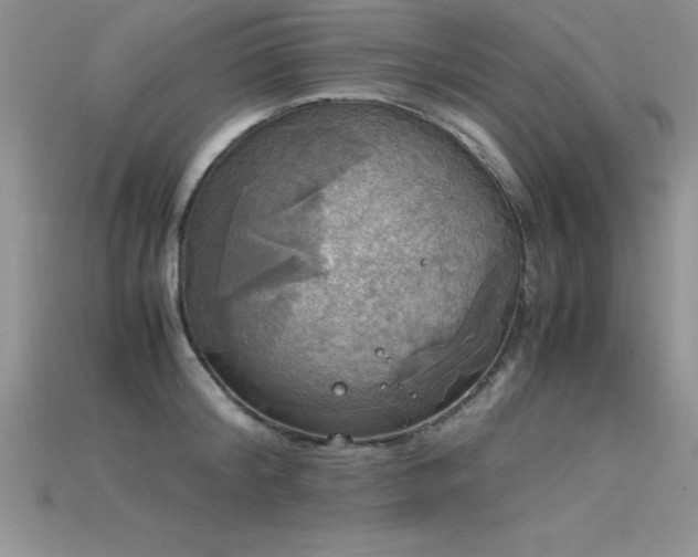 X0000115660804200911121212