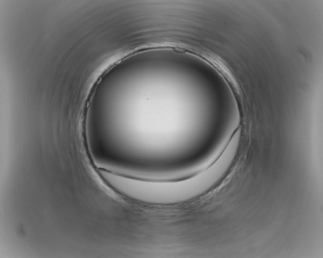 X0000115660805200911121212