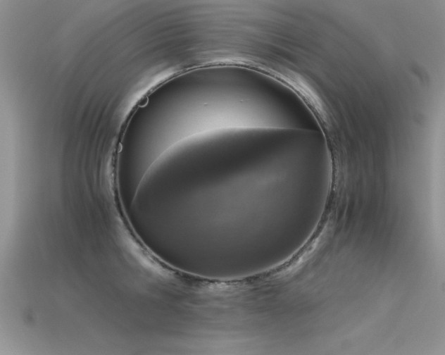 X0000115660806200911121212