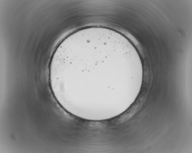 X0000115660807200911121212