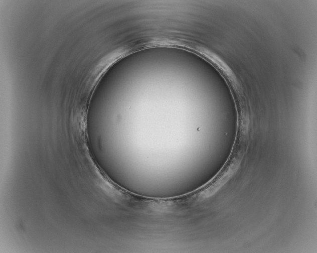 X0000115660809200911121212