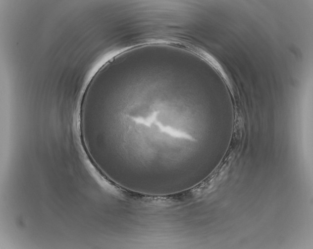 X0000115660811200911121212