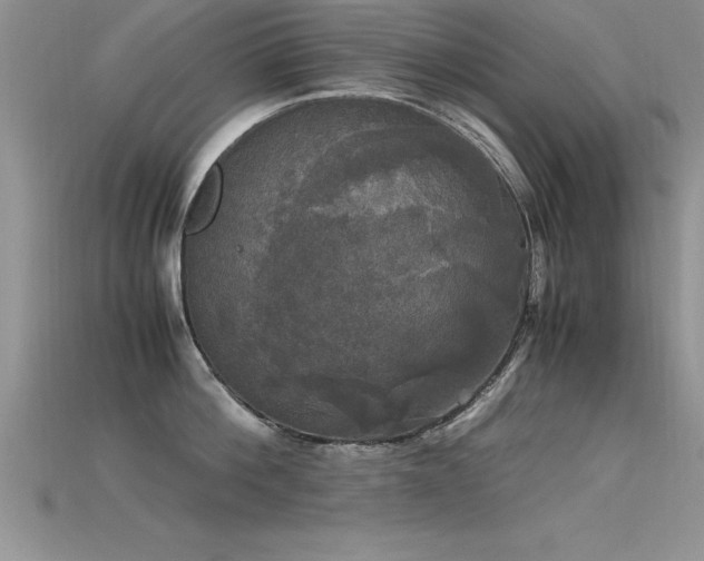 X0000115660812200911121212