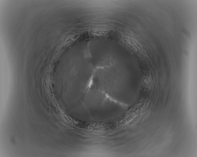 X0000115660817200911121212