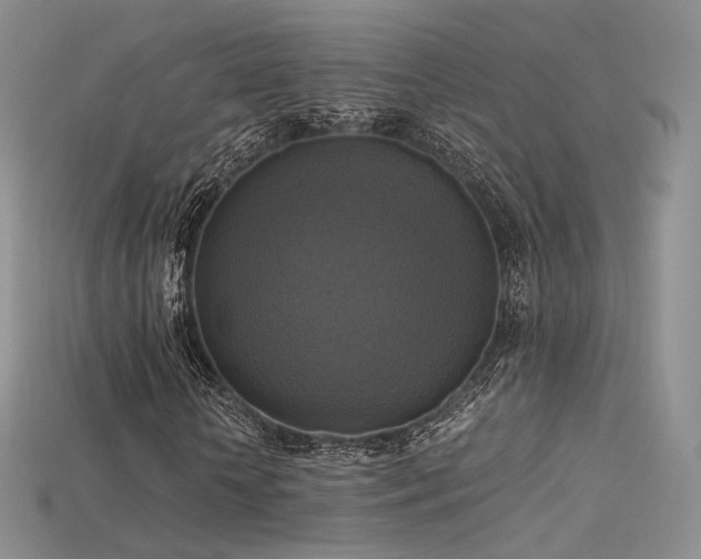 X0000115660818200911121212