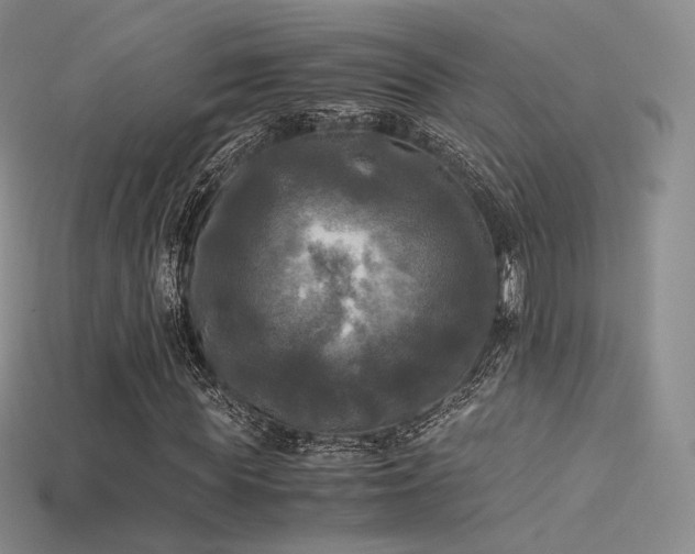 X0000115660819200911121212