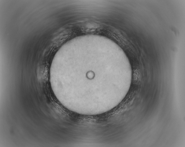 X0000115660820200911121212
